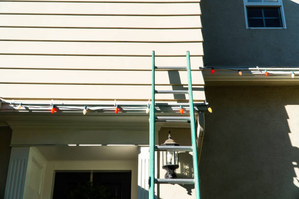 Best Custom Siding Design  in Stevenson, AL