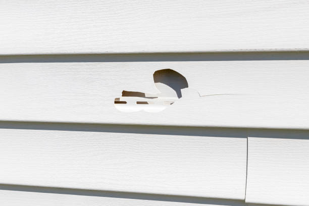 Best Composite Siding  in Stevenson, AL