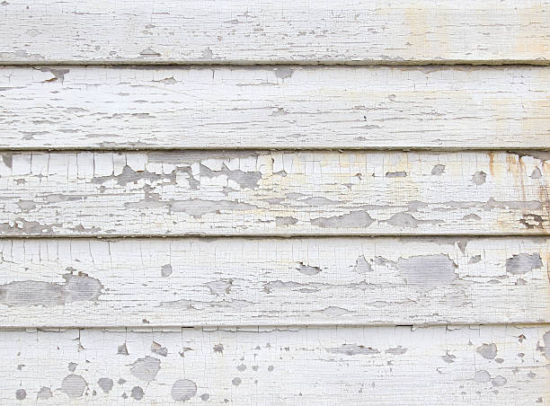Best Stucco Siding  in Stevenson, AL